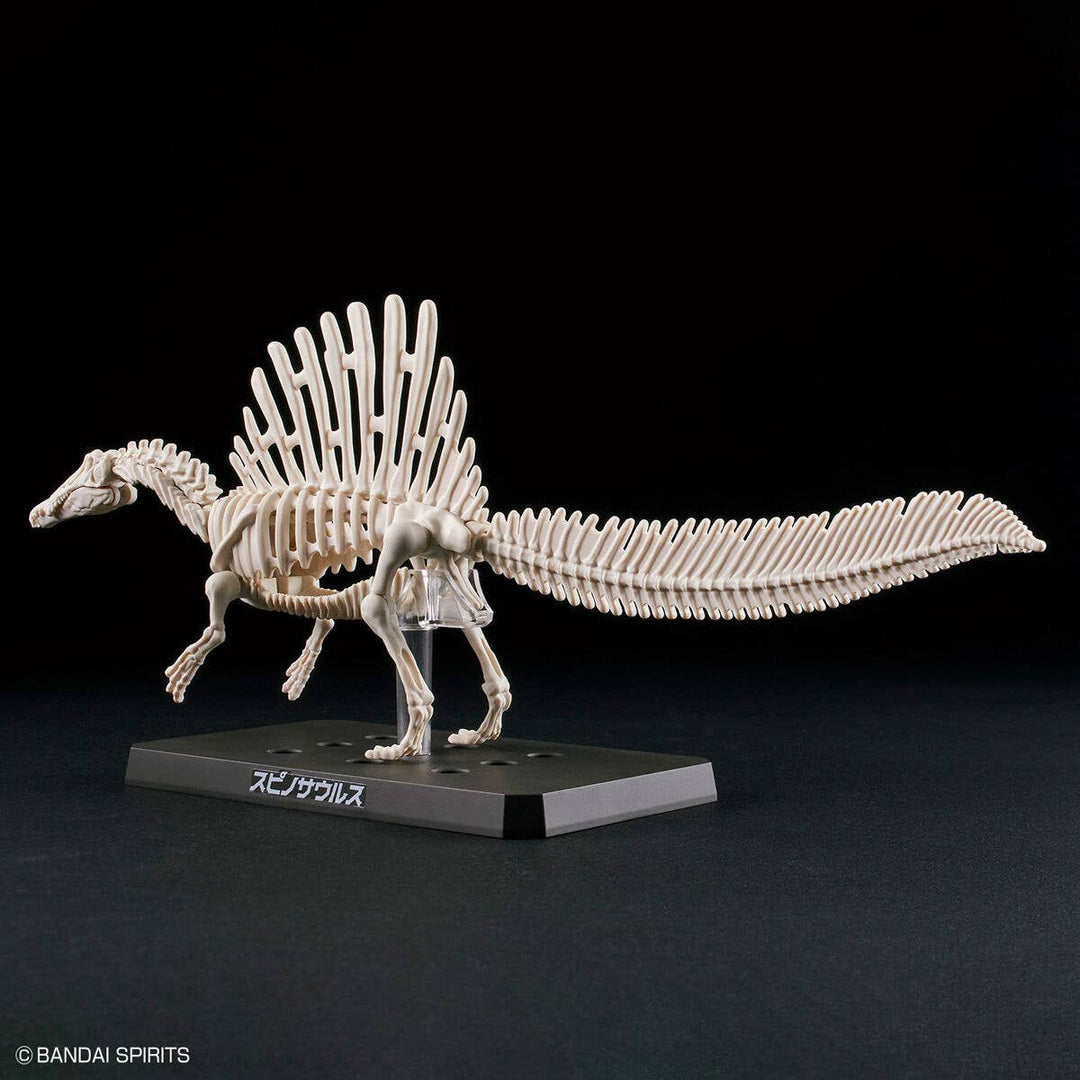 Real Science - Plannosaurus Spinosaurus