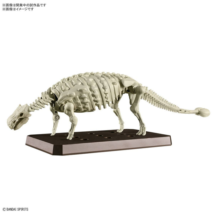Real Science - Plannosaurus Ankylosaurus