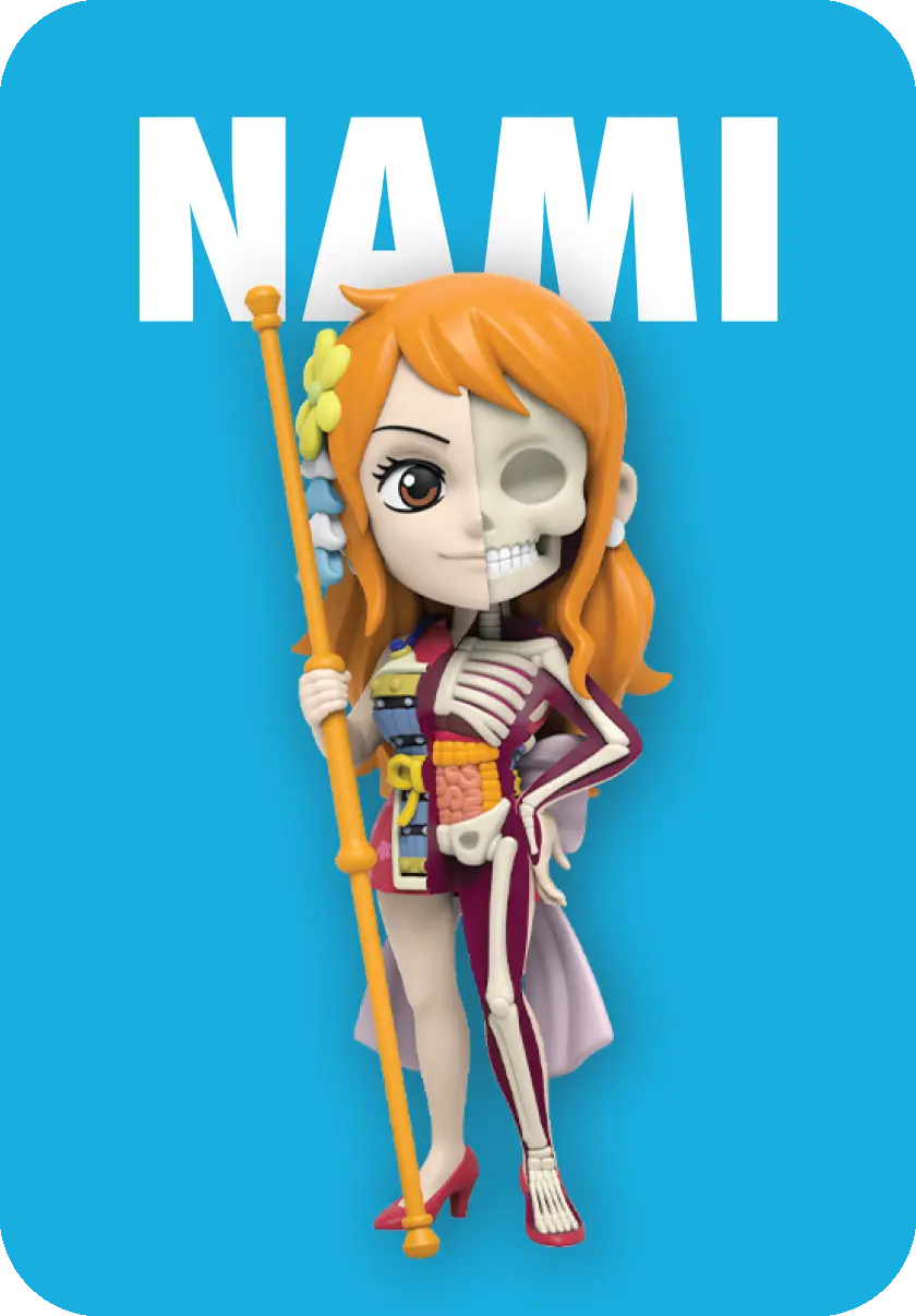 Mighty Jaxx - One Piece Freeny's Hidden Dissectibles (Ladies Edition) Blind Box