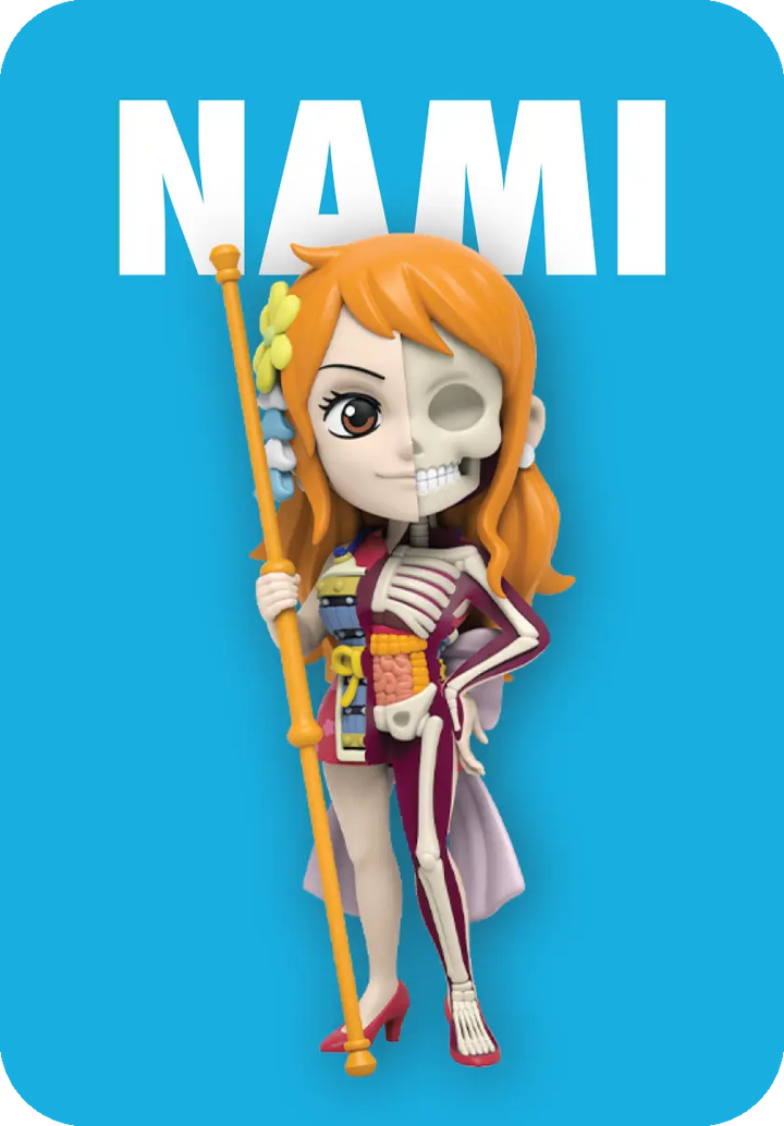 Mighty Jaxx - One Piece Freeny's Hidden Dissectibles (Ladies Edition) Blind Box