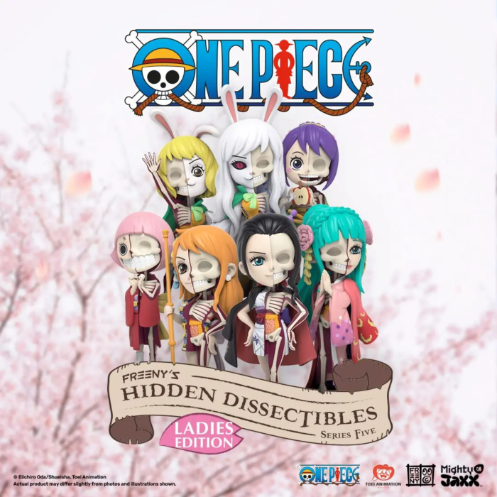 Mighty Jaxx - One Piece Freeny's Hidden Dissectibles (Ladies Edition) Blind Box