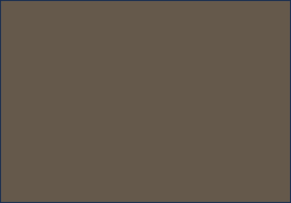 NGA202 Shade Brown - official approximate colour swatch