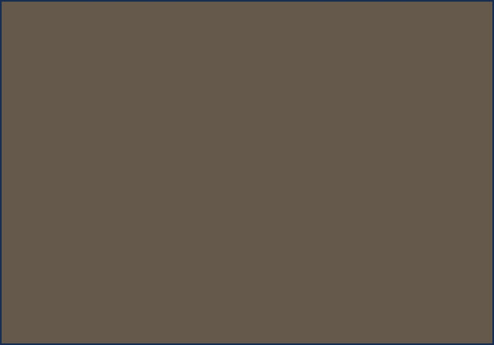 NGA202 Shade Brown - official approximate colour swatch