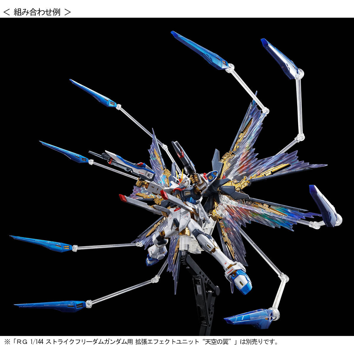 GUNDAM - P-Bandai - RG 1/144 Strike Freedom Gundam [TITANIUM