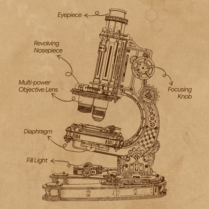 Sepia-toned technical diagram of the ROKR wooden microscope labeling eyepiece, revolving nosepiece, objective lenses, diaphragm and mirror
