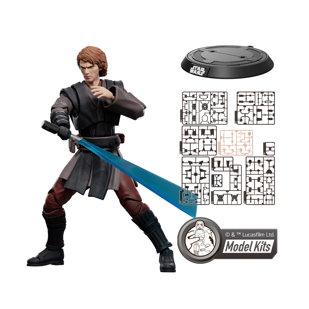 Anakin Skywalker 3