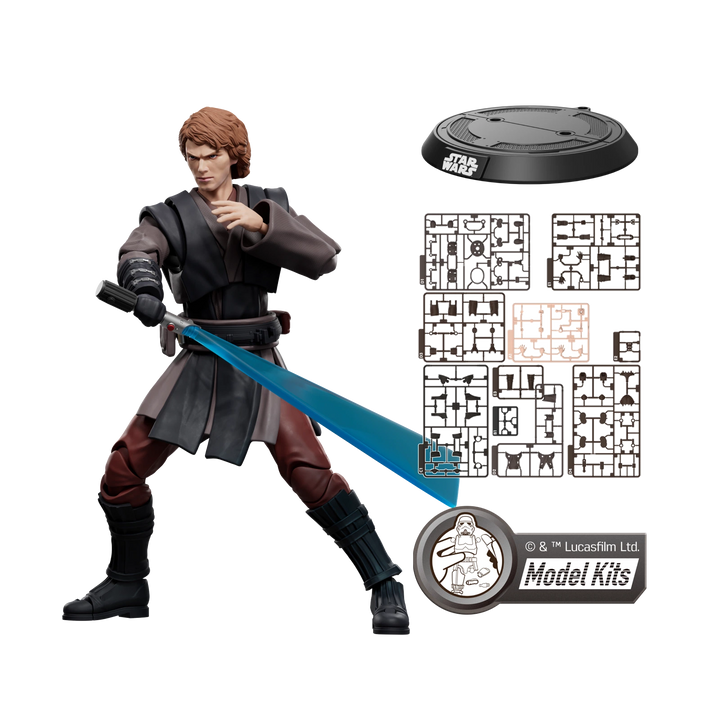 Anakin Skywalker 3