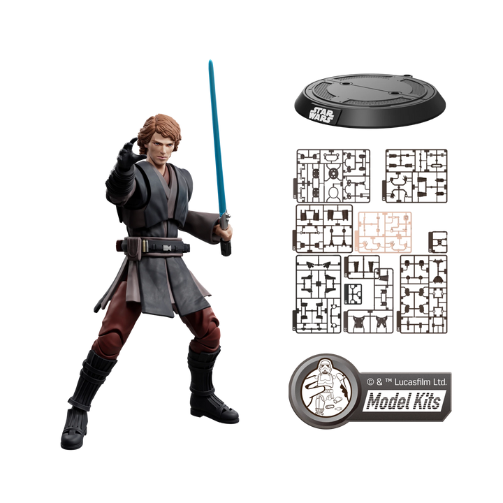 Anakin Skywalker 5