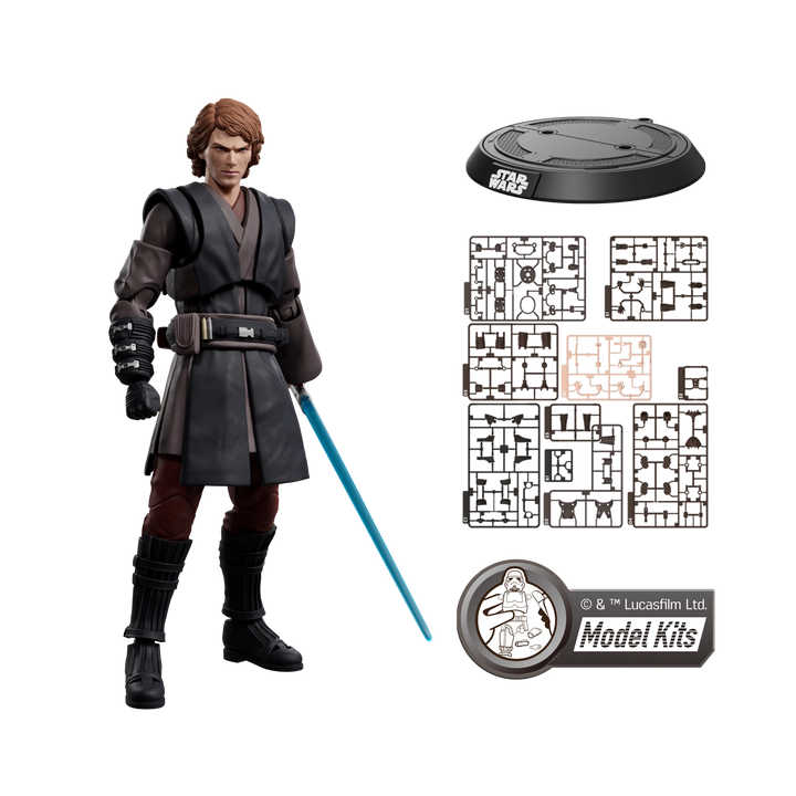 Anakin Skywalker 6