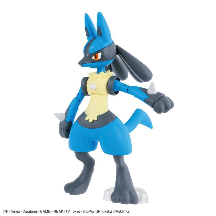 POKEMON - Model Kit Riolu & Lucario